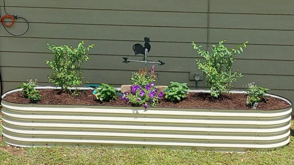 What are the two cons of raised beds?