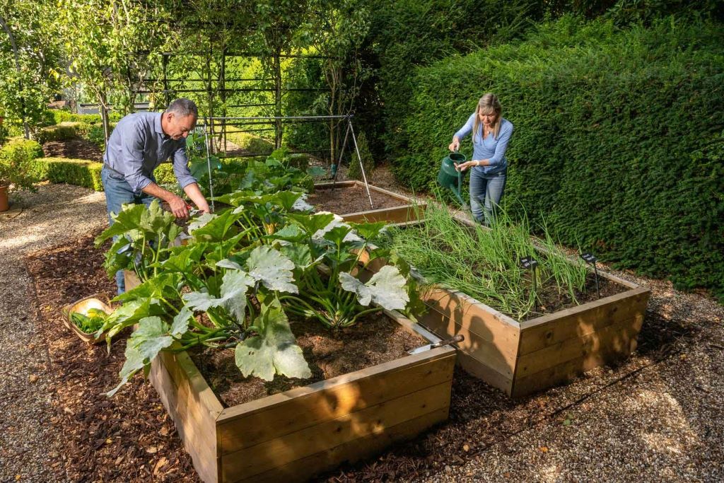 Do plants grow better in raised beds?
