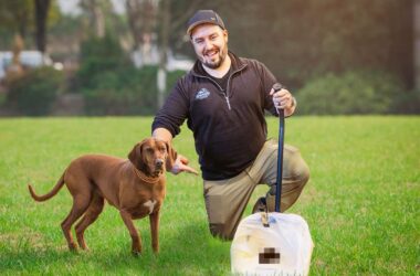 Start a Pooper Scooper Business