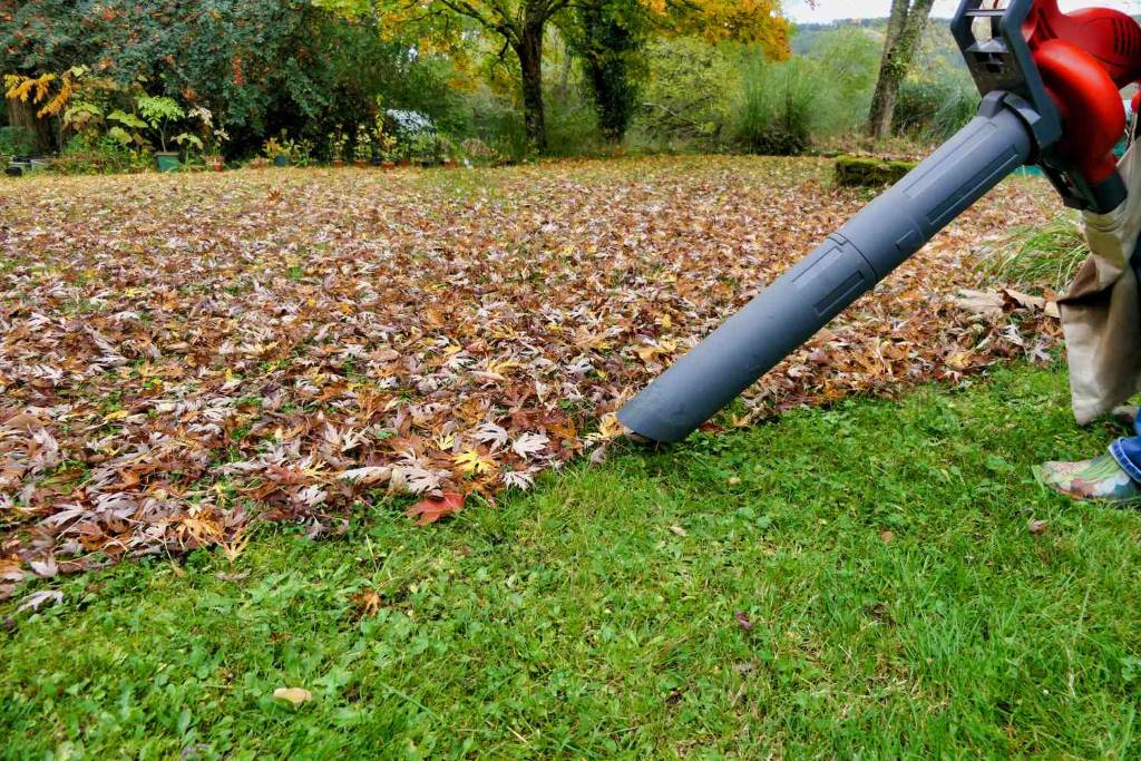When to Avoid Using a Leaf Blower