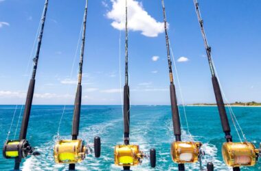 Beginner angler selecting the right fishing line for a spinning reel