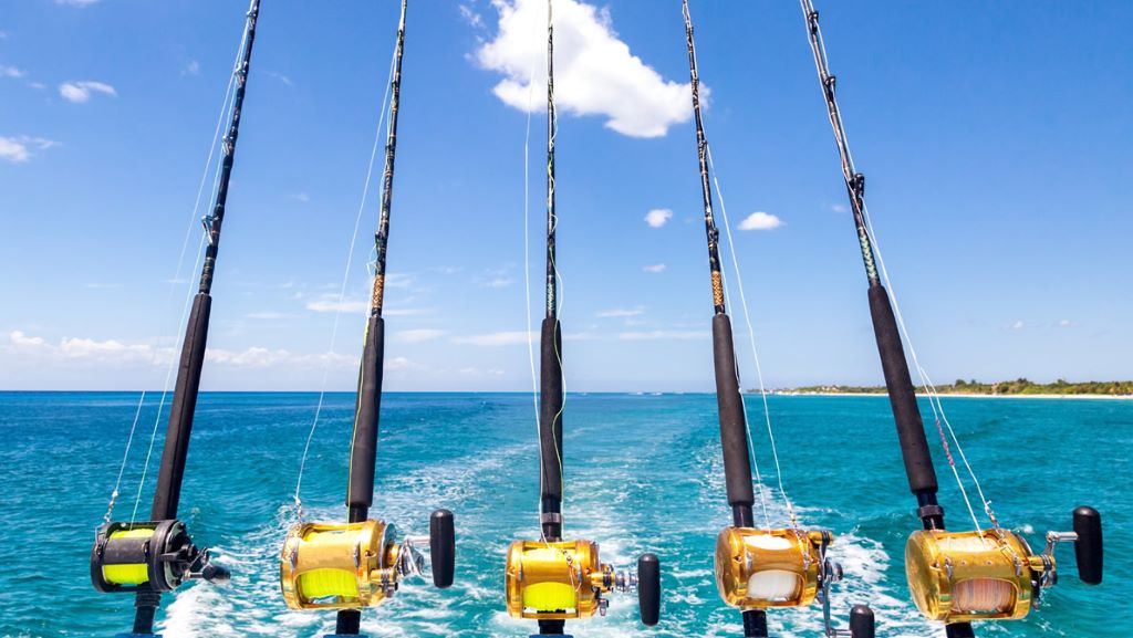 Beginner angler selecting the right fishing line for a spinning reel