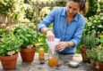 Person placing a DIY natural fly trap on an outdoor patio table.