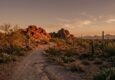Explore the best budget-friendly things to do in Phoenix this fall! Enjoy free desert hikes, seasonal outdoor markets, and cheap local activities for all ages.