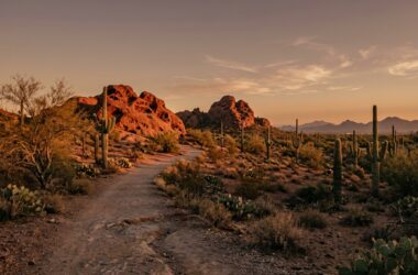 Explore the best budget-friendly things to do in Phoenix this fall! Enjoy free desert hikes, seasonal outdoor markets, and cheap local activities for all ages.