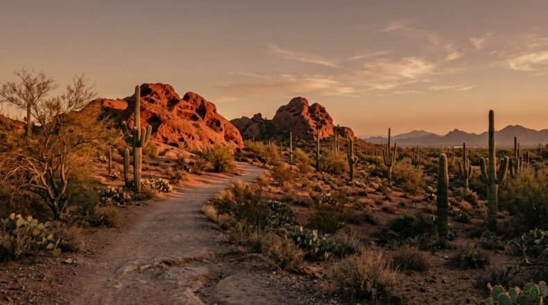 Explore the best budget-friendly things to do in Phoenix this fall! Enjoy free desert hikes, seasonal outdoor markets, and cheap local activities for all ages.